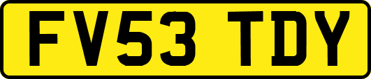 FV53TDY