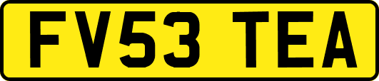 FV53TEA