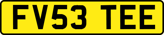 FV53TEE