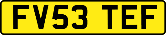 FV53TEF