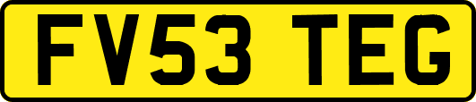 FV53TEG