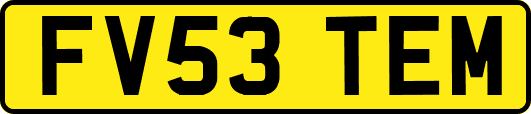 FV53TEM