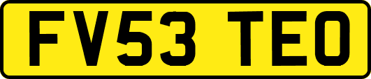 FV53TEO