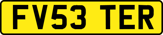 FV53TER