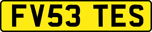 FV53TES