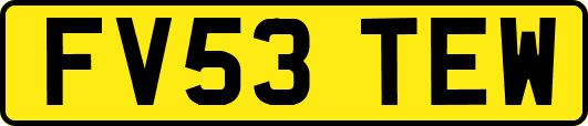 FV53TEW