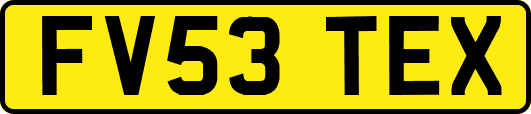 FV53TEX