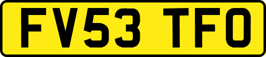 FV53TFO