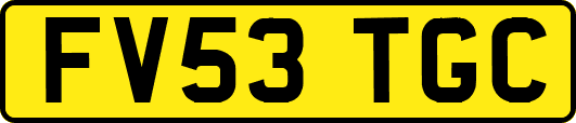 FV53TGC