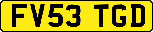 FV53TGD