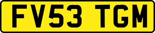 FV53TGM