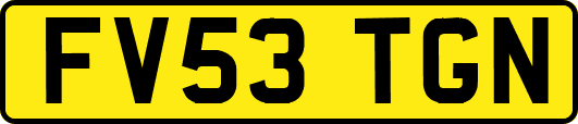 FV53TGN