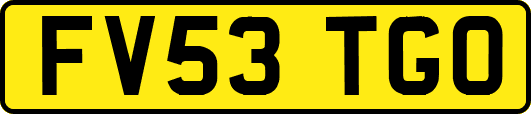 FV53TGO