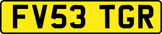 FV53TGR