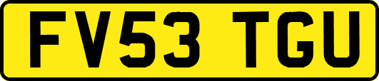 FV53TGU
