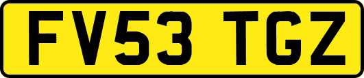 FV53TGZ