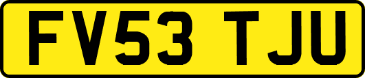 FV53TJU