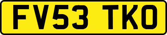 FV53TKO