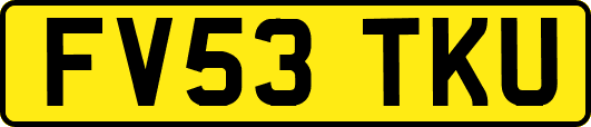 FV53TKU