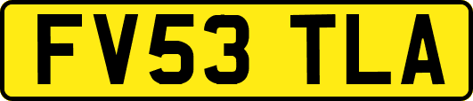 FV53TLA