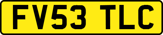FV53TLC