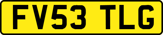 FV53TLG