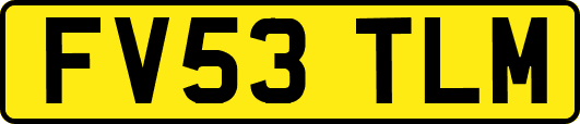 FV53TLM