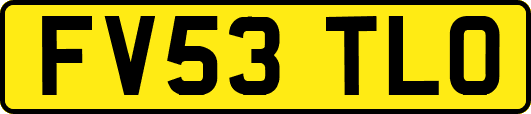 FV53TLO