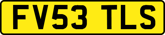 FV53TLS