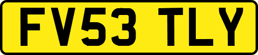FV53TLY