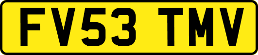 FV53TMV
