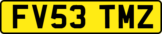 FV53TMZ