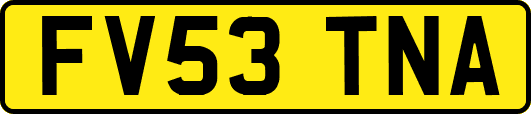 FV53TNA