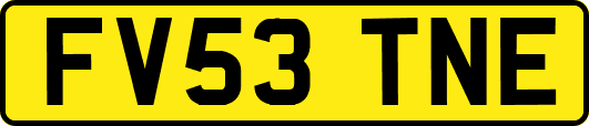 FV53TNE