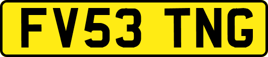 FV53TNG