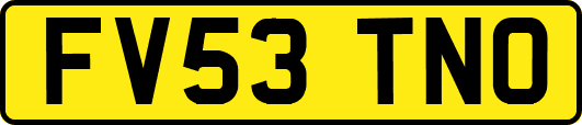 FV53TNO