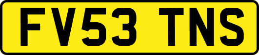FV53TNS