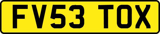 FV53TOX