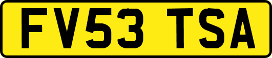 FV53TSA