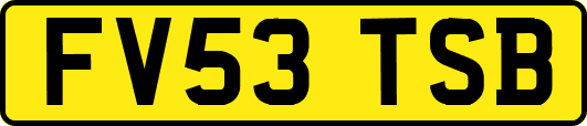 FV53TSB