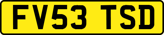 FV53TSD