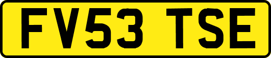 FV53TSE