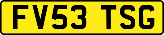 FV53TSG