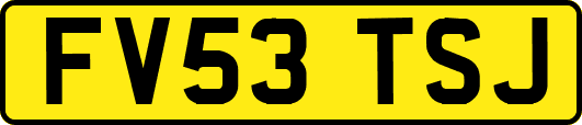 FV53TSJ