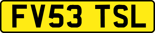 FV53TSL