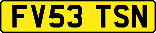 FV53TSN