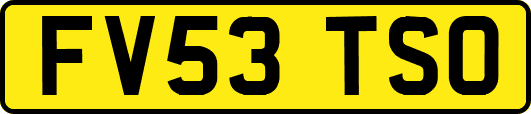 FV53TSO