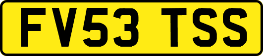 FV53TSS