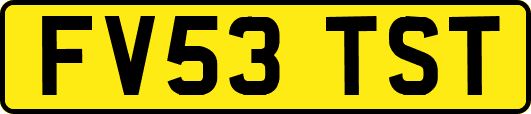 FV53TST