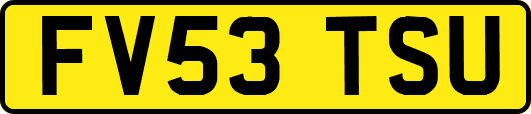 FV53TSU